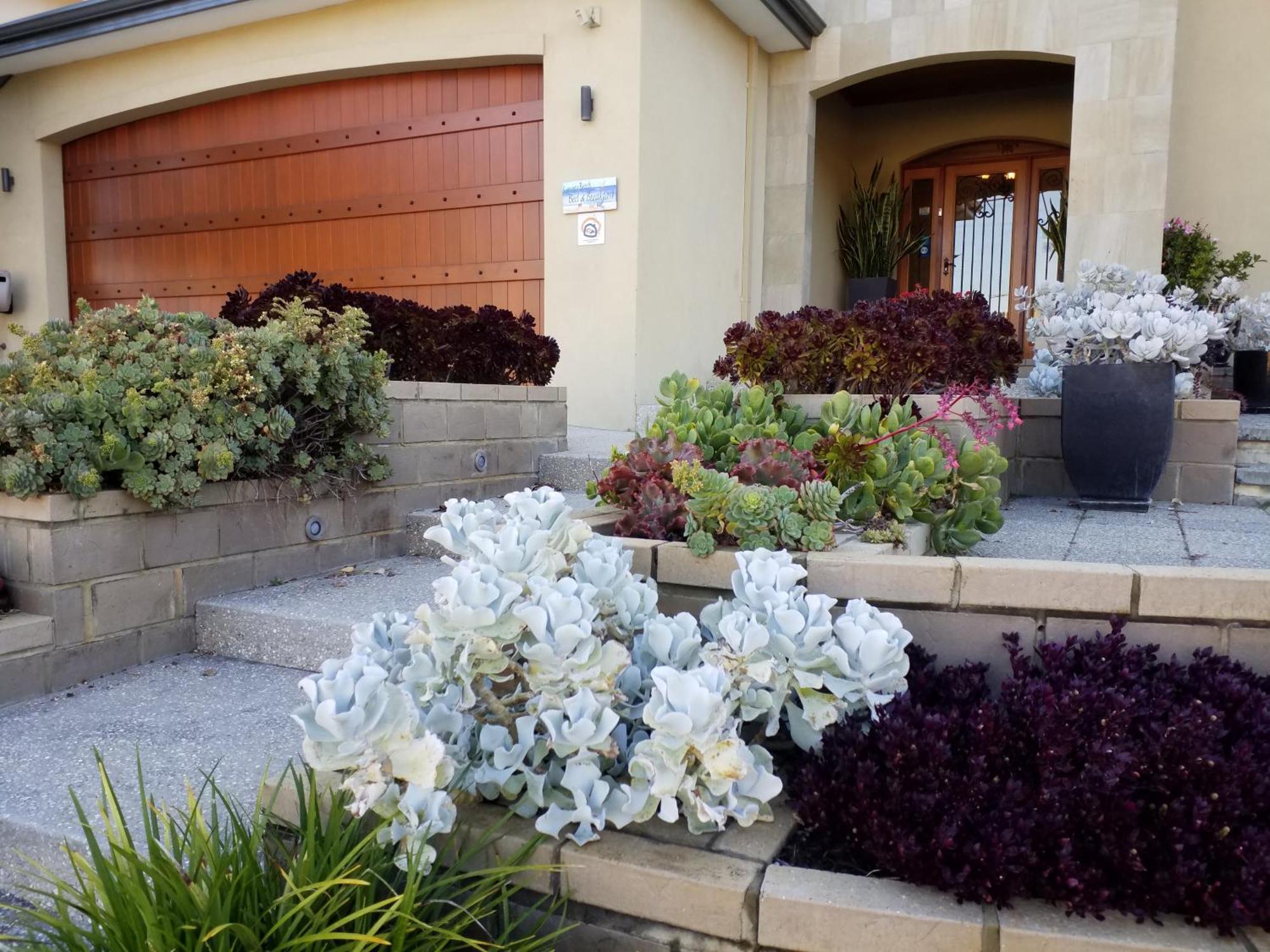 Sorrento Beach Bed & Breakfast — Photos 1