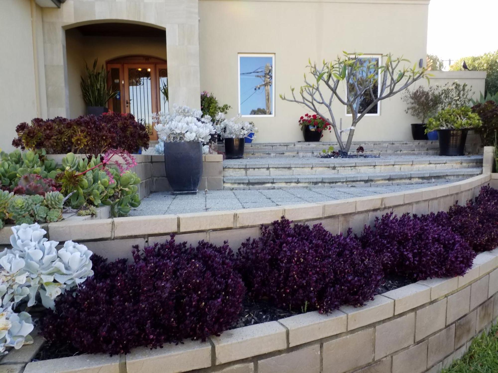 Sorrento Beach Bed & Breakfast — Photos 2